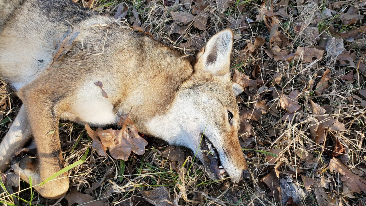 20191119_152419.jpg