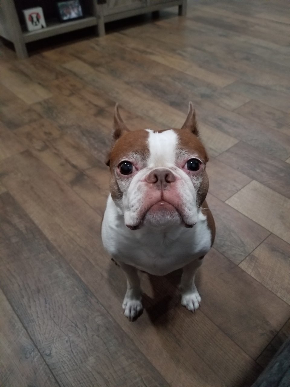 20191121_203114.jpg