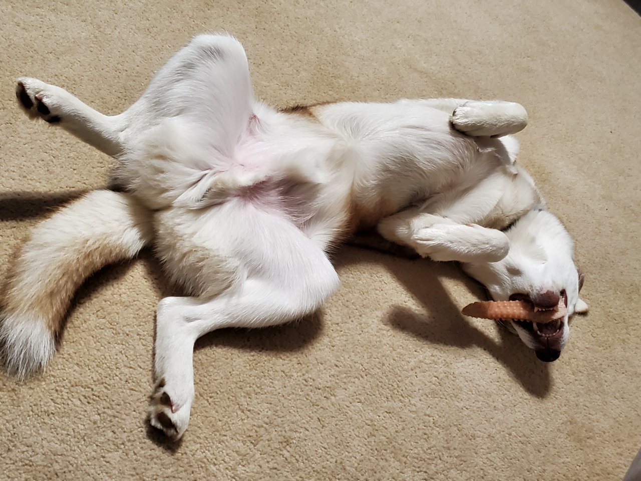 20191122_154841.jpg