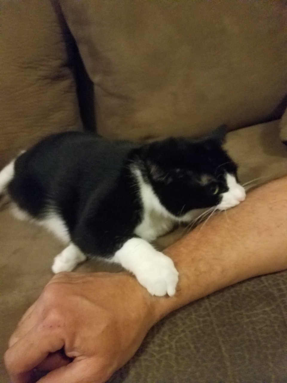 20191122_182436.jpg