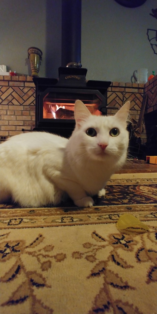 20191122_195034.jpg