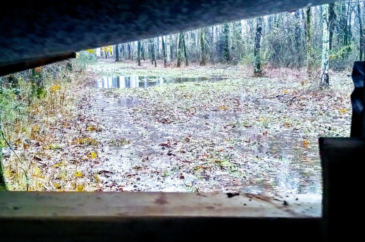 20191123_064746_HDR~2.jpg