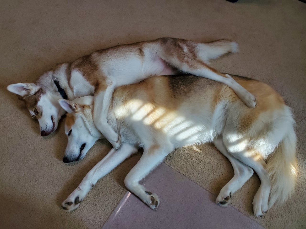20191123_110727.jpg