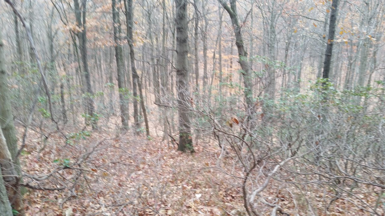 20191123_115247.jpg