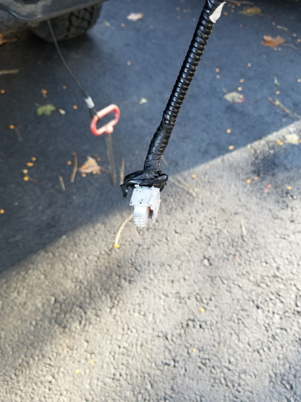 20191123_133607.jpg