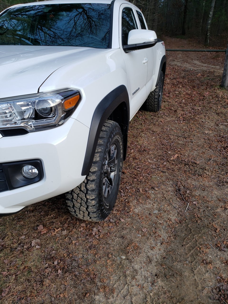 20191123_160104_resized[2187].jpg