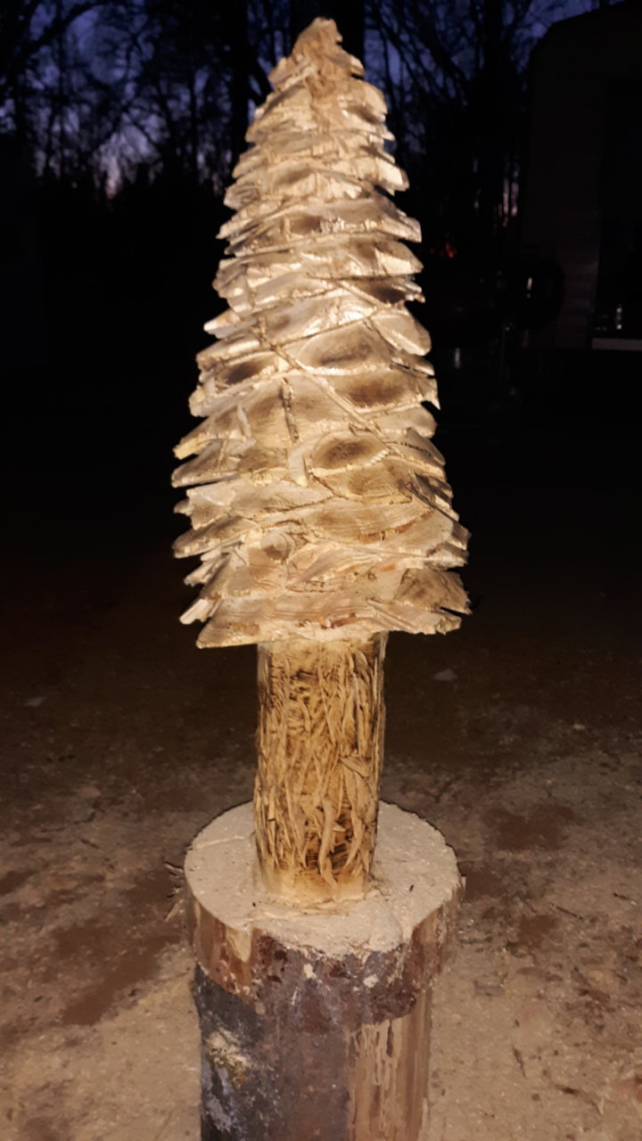 20191123_172026.jpg