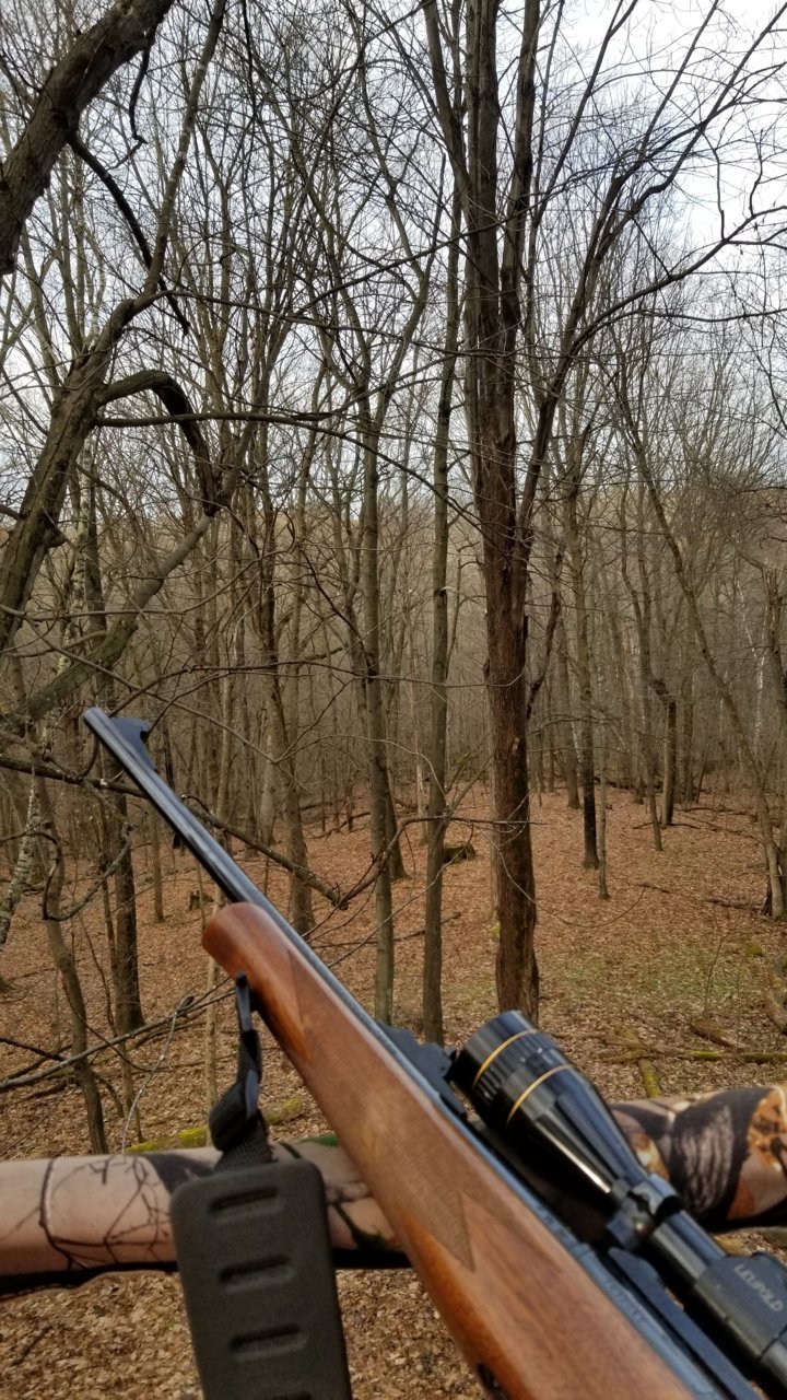 20191124_082945.jpg