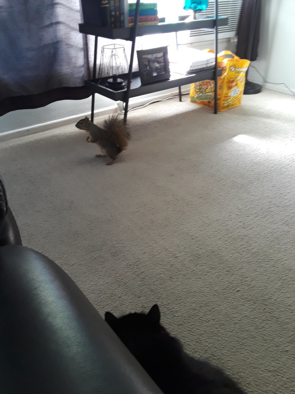 20191124_112915.jpg