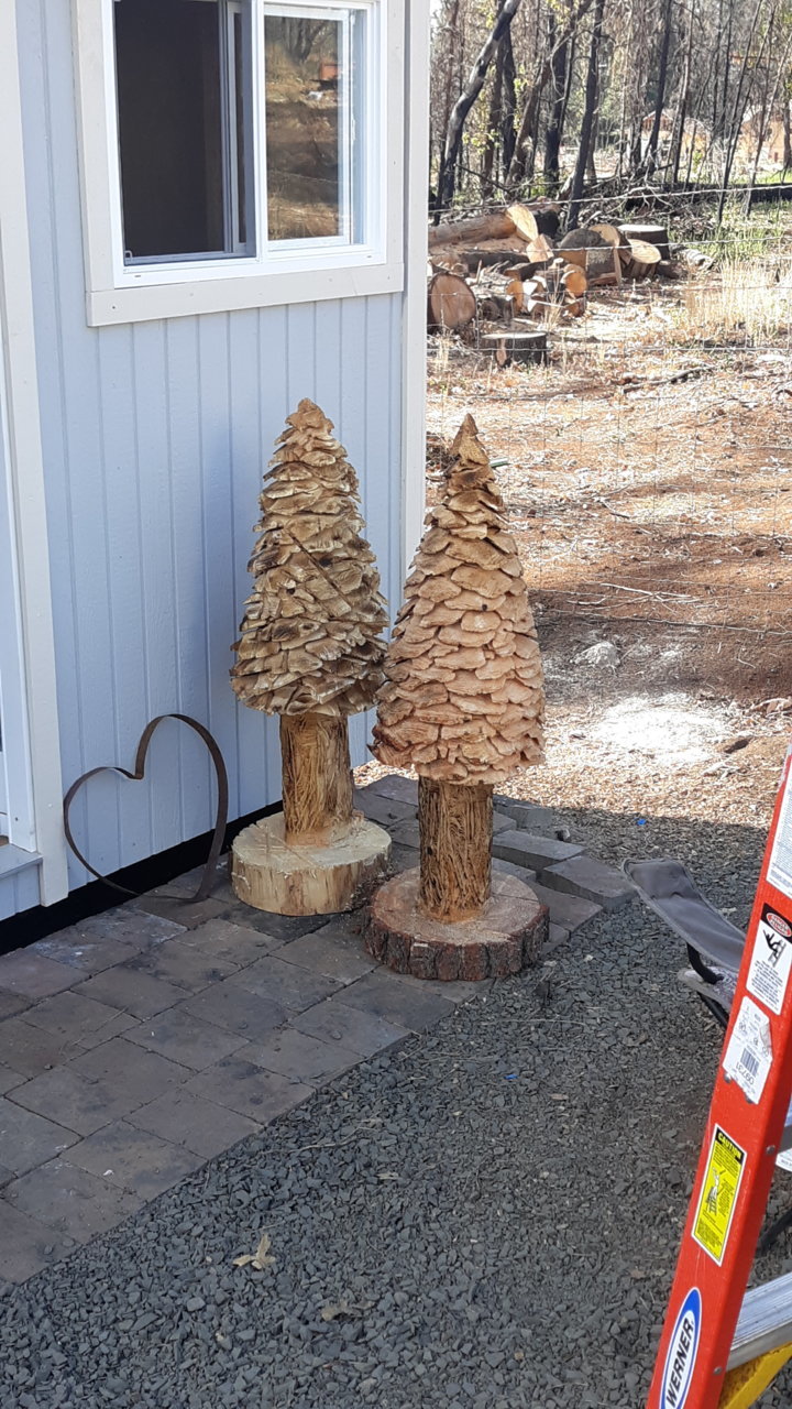 20191124_113654.jpg