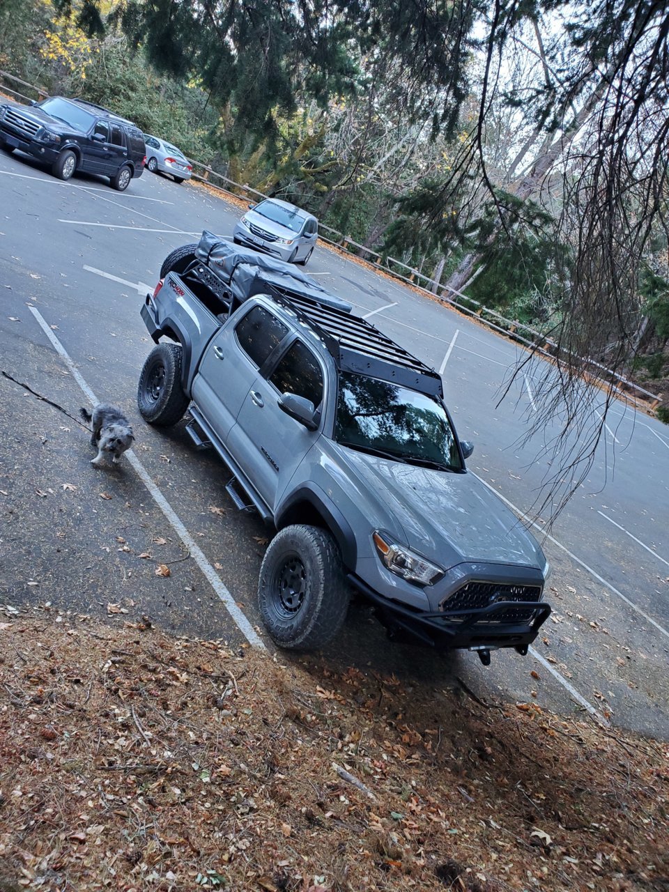 20191124_150149.jpg