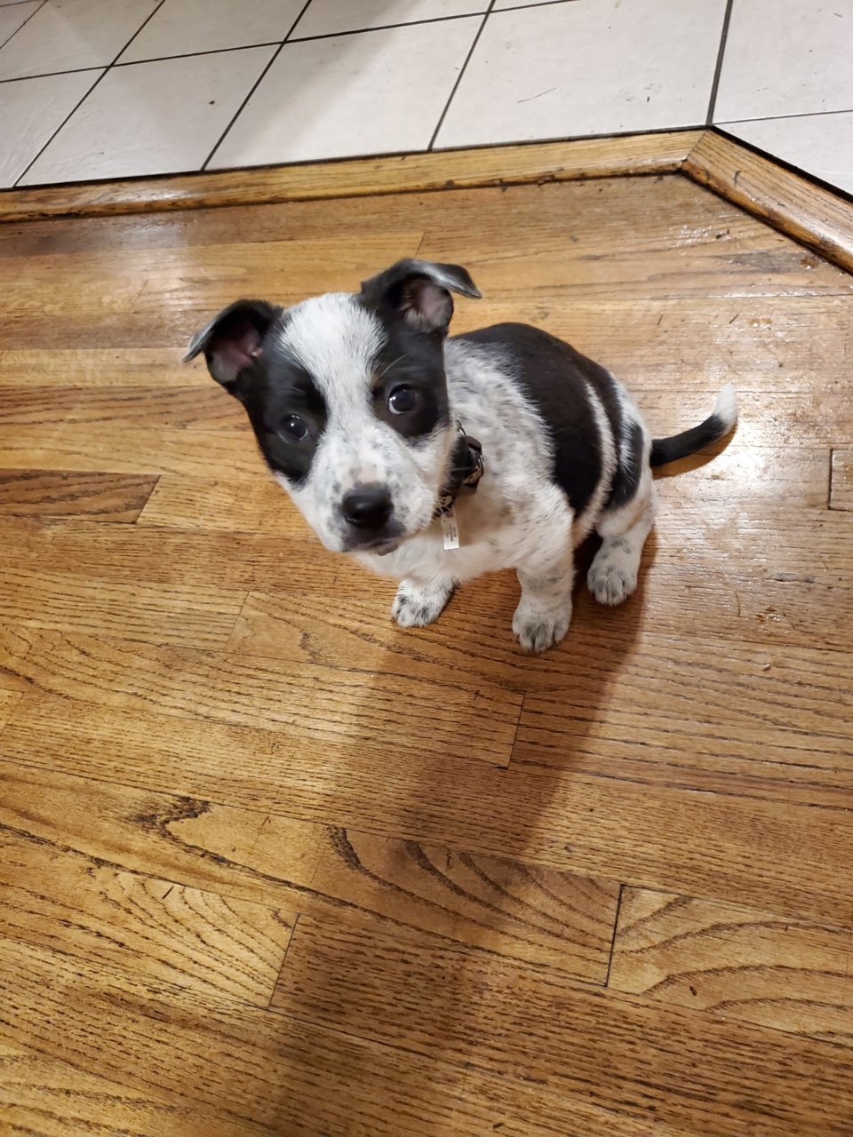 20191124_170343.jpg