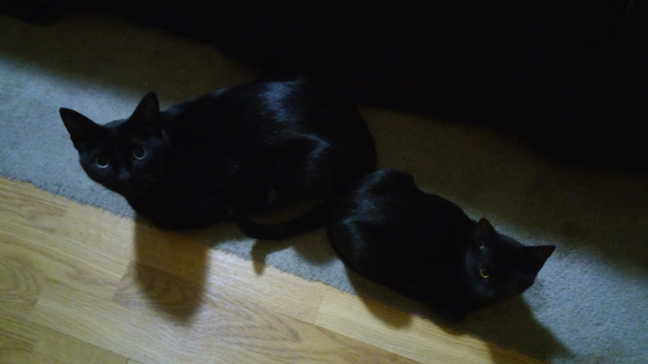 20191124_215512.jpg