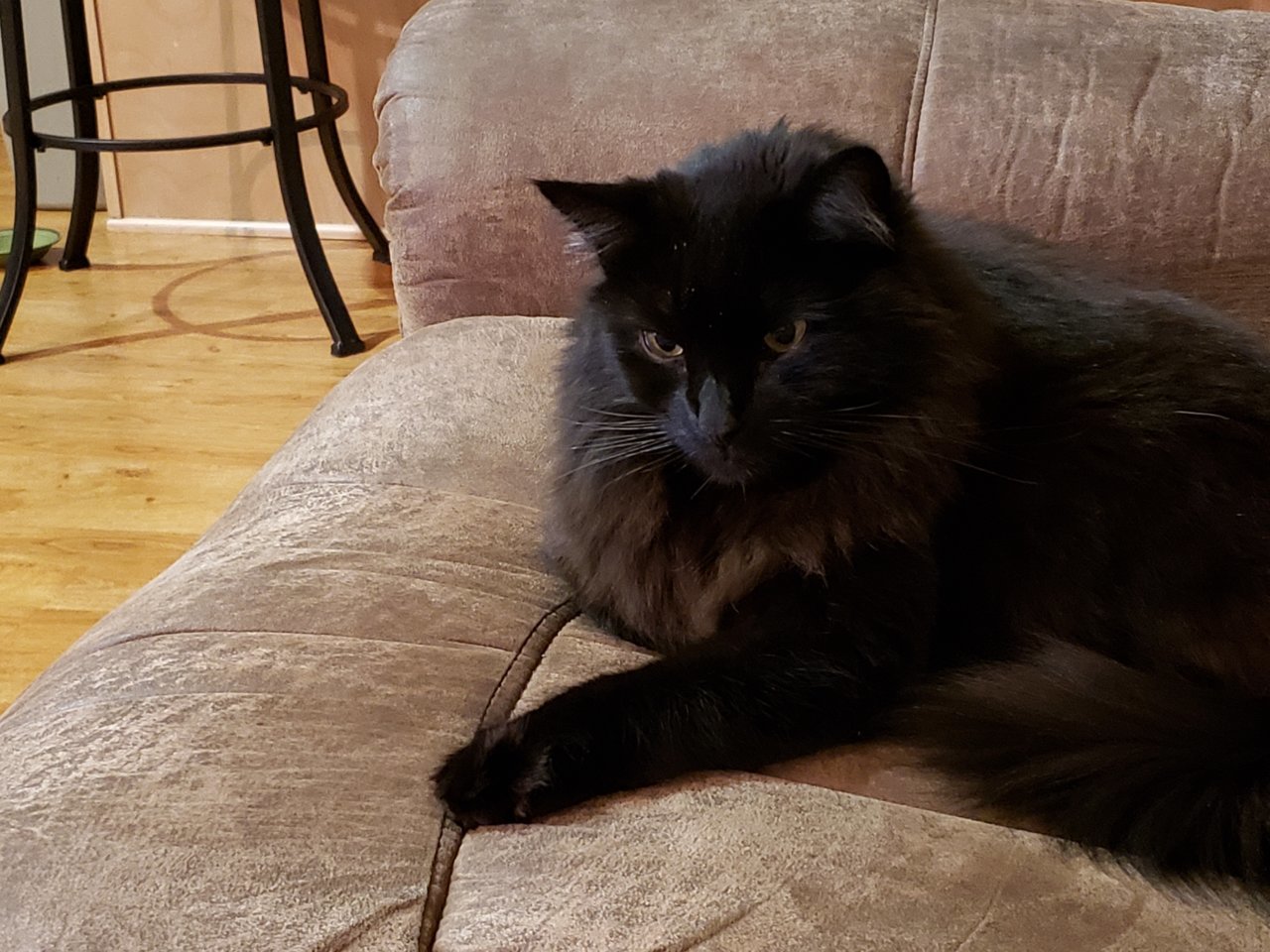 20191124_221333.jpg