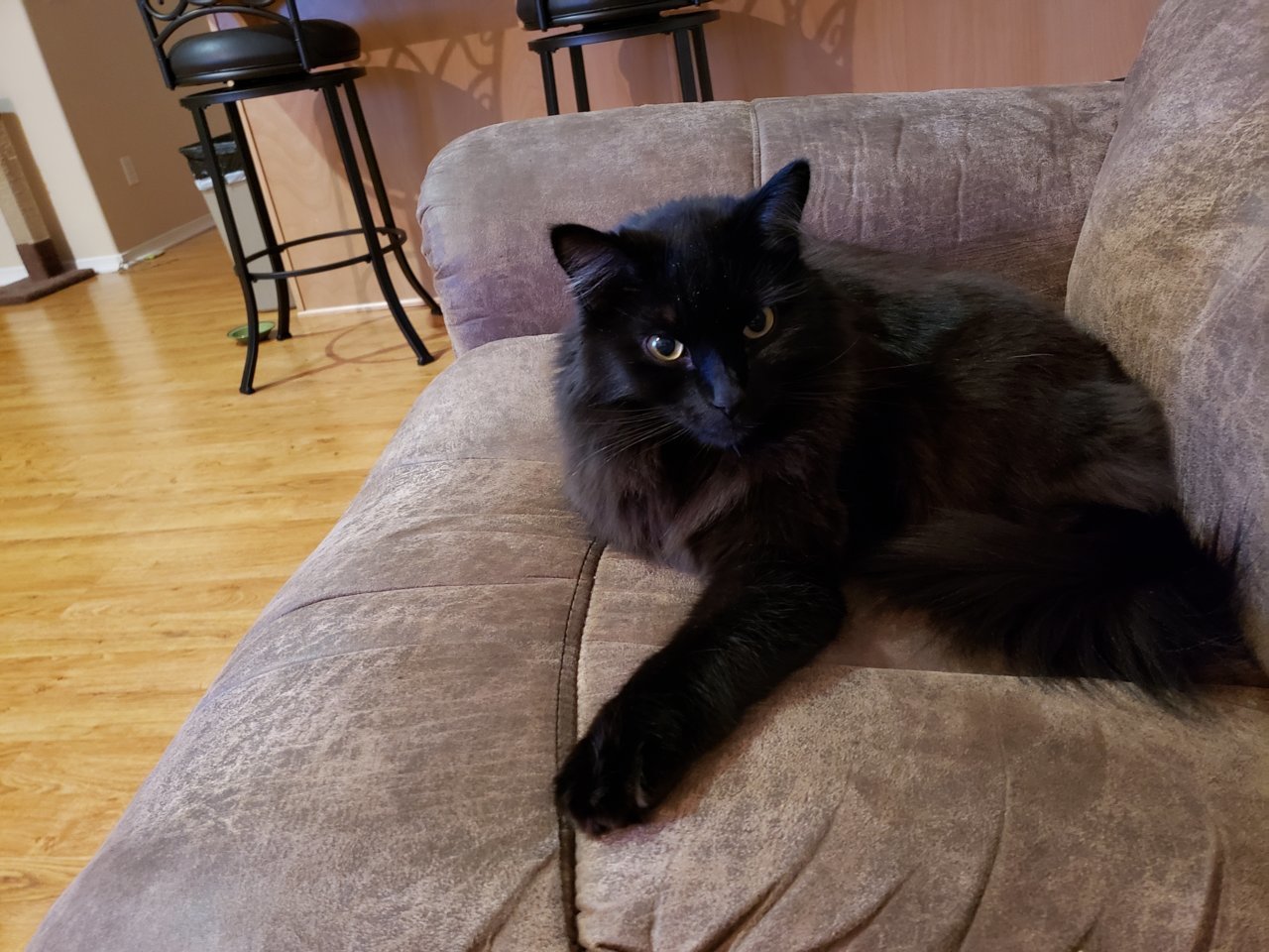 20191124_221939.jpg