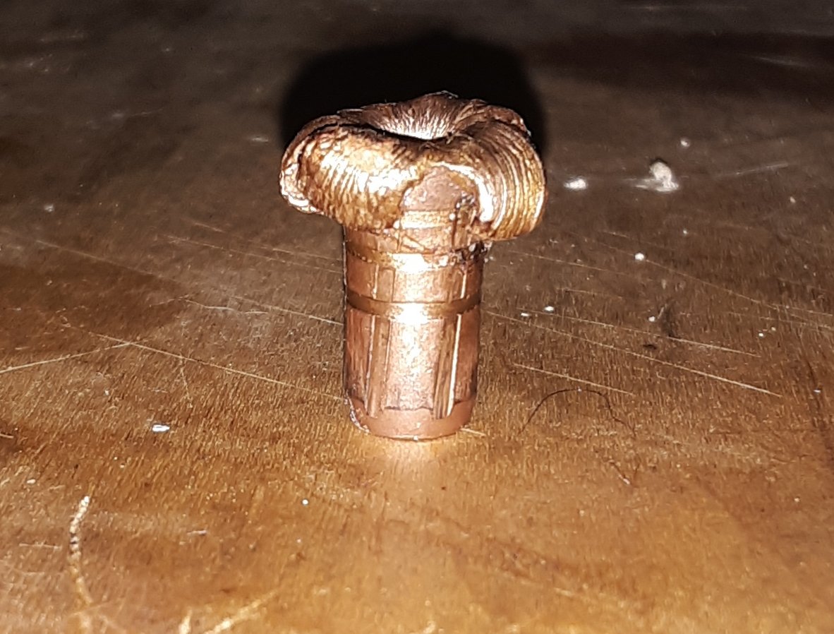 20191125_074201.jpg