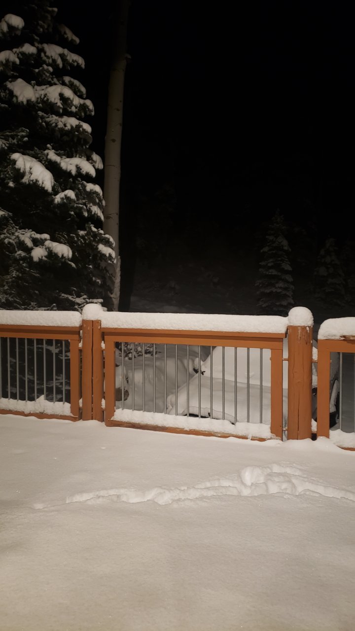 20191126_053014.jpg