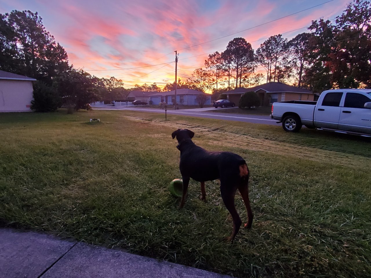 20191126_064217.jpg