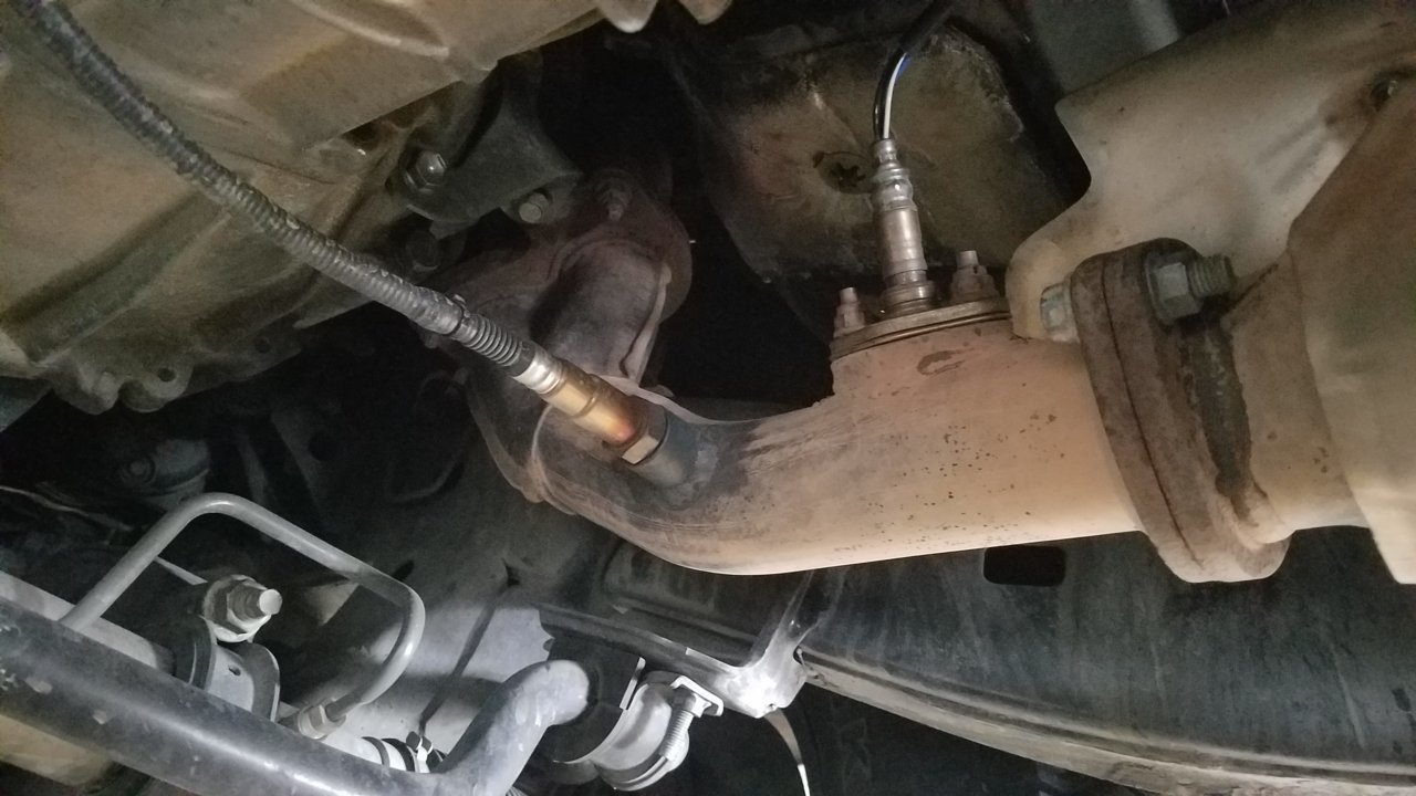 20191126_115120.jpg