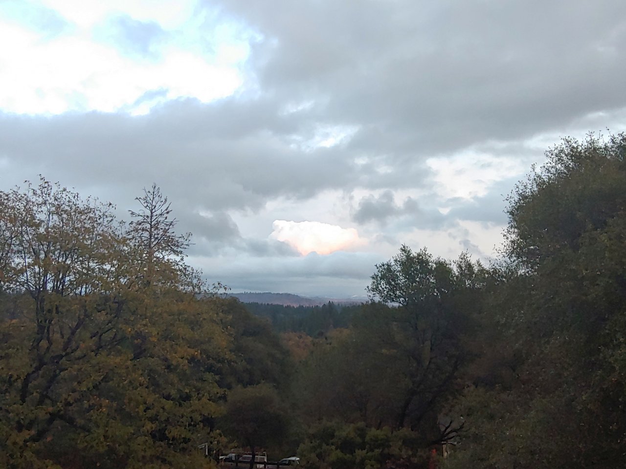 20191127_163501.jpg