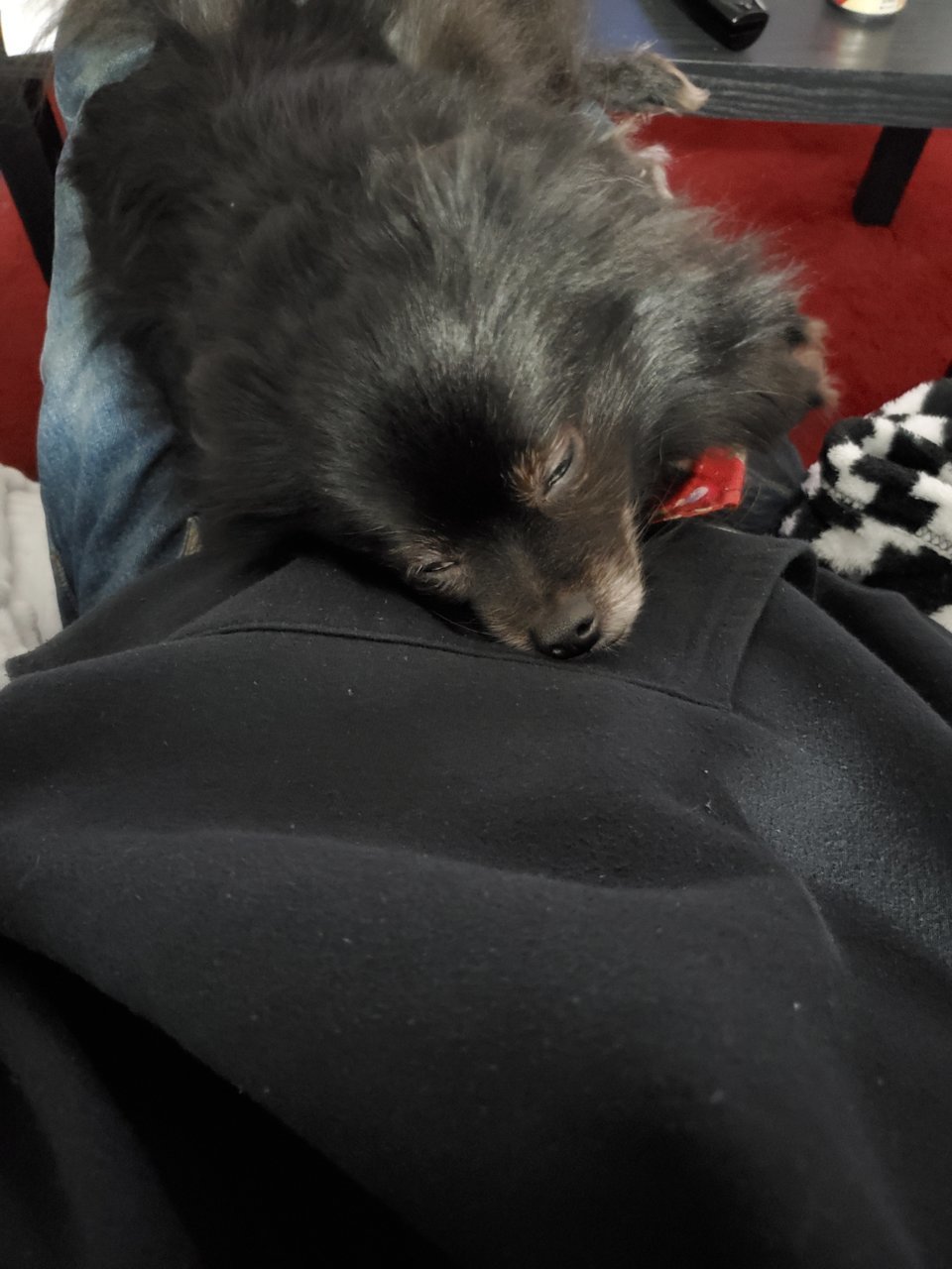 20191127_185140.jpg