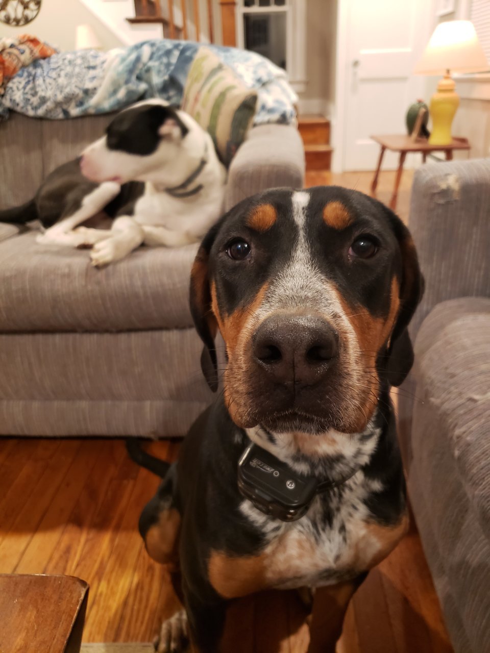 20191127_212347.jpg