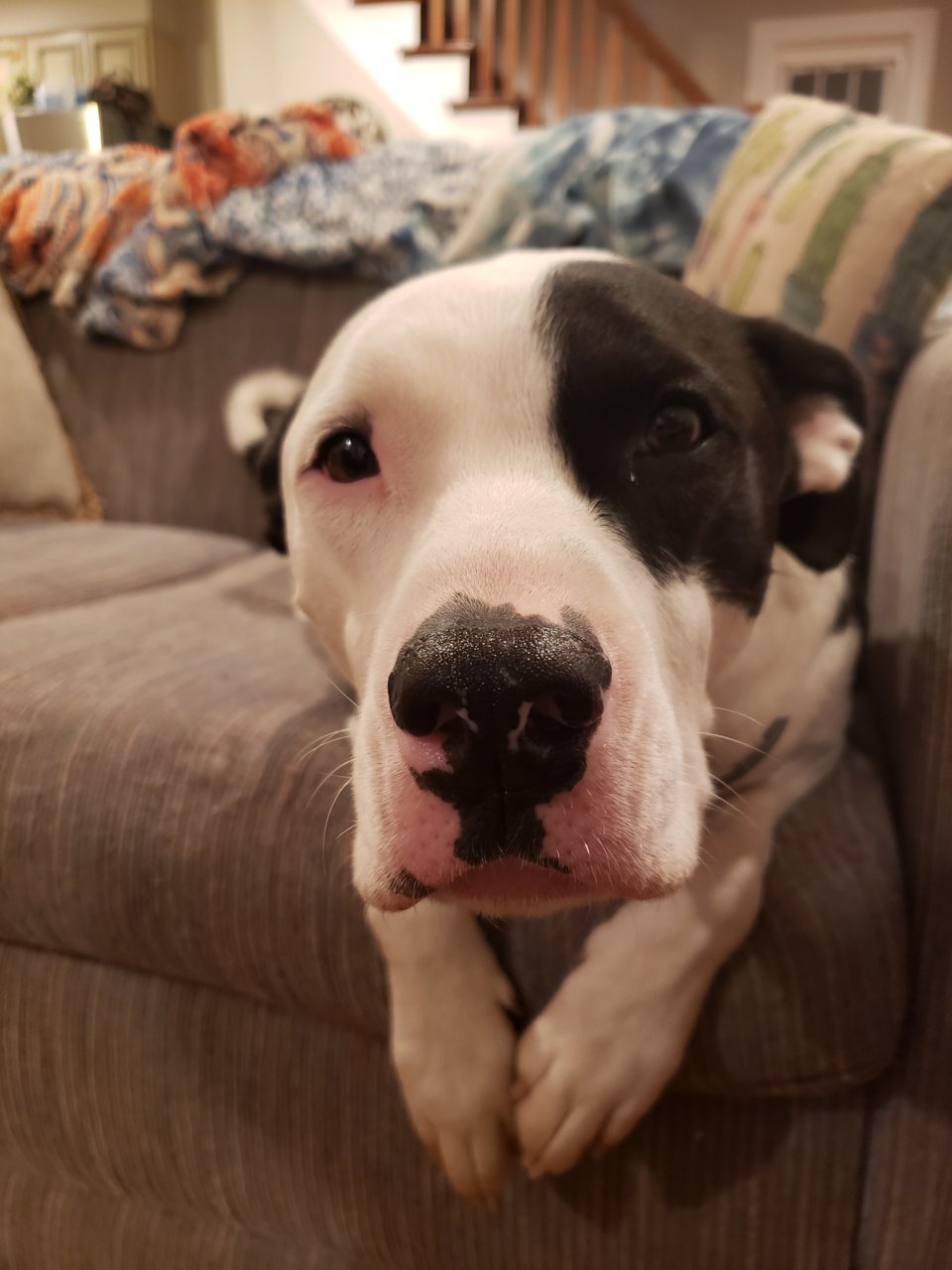 20191127_212630.jpg
