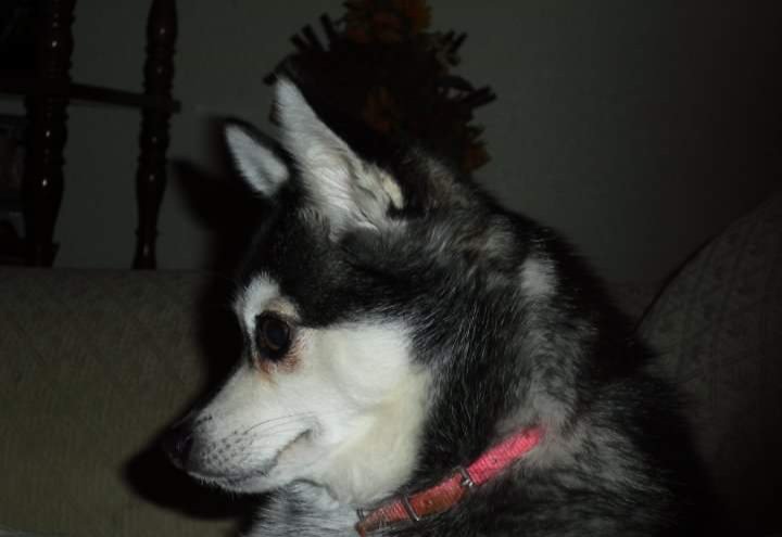 20191127_213359.jpg