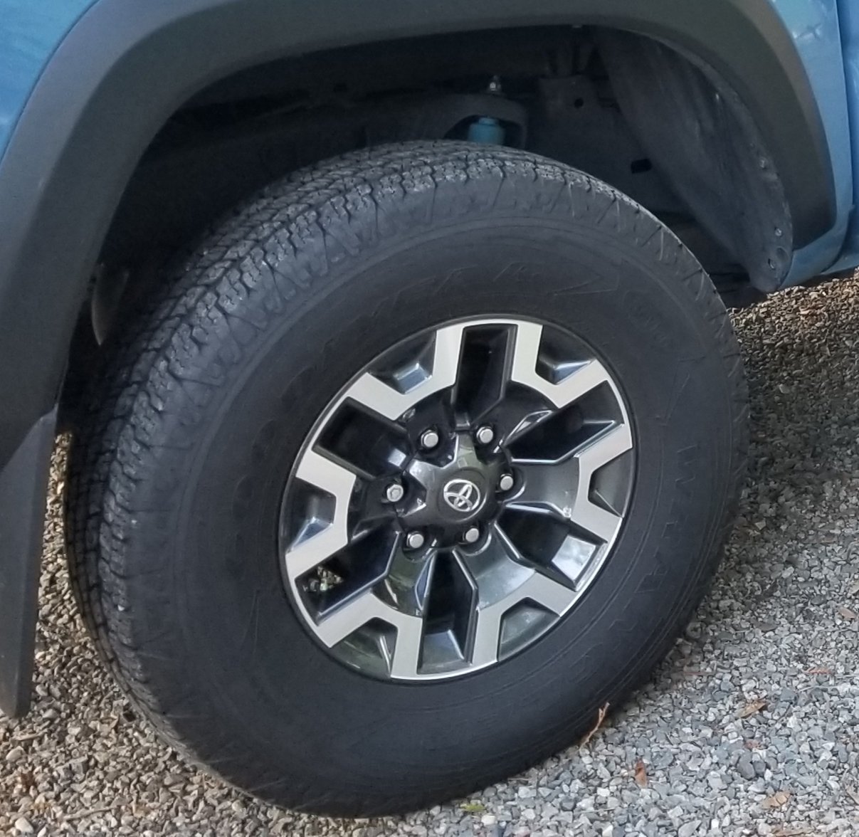 20191128_053748.jpg