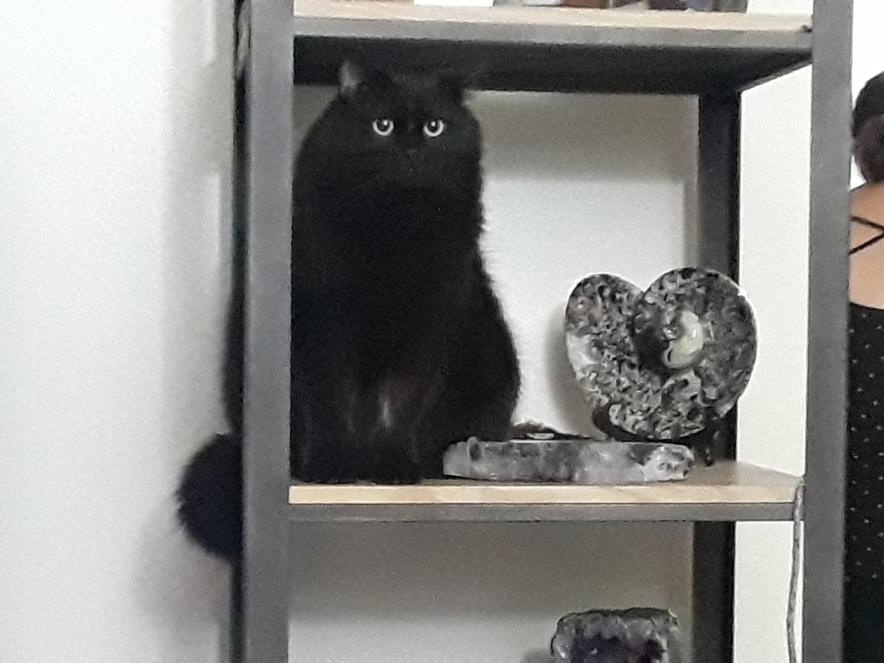 20191128_233701.jpg