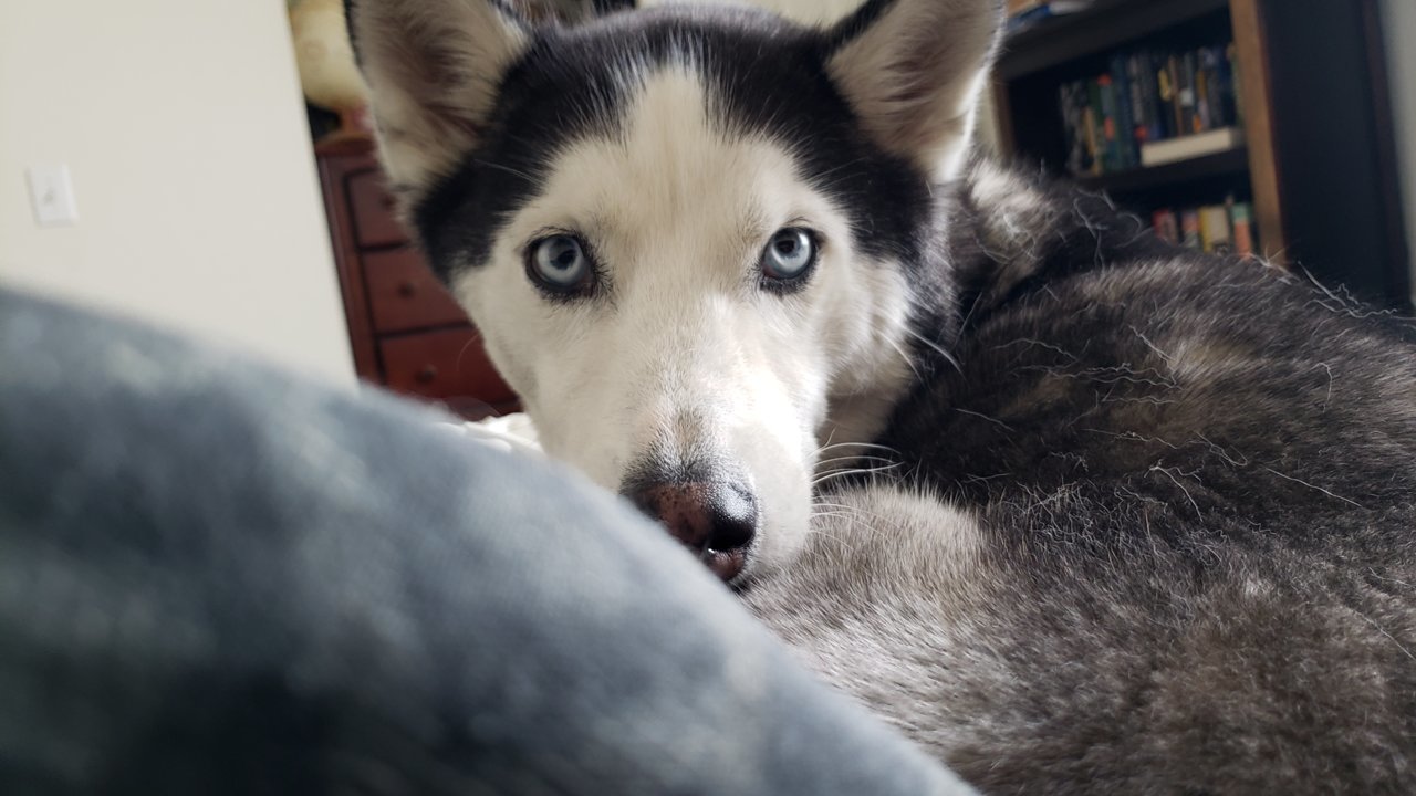 20191129_083133.jpg