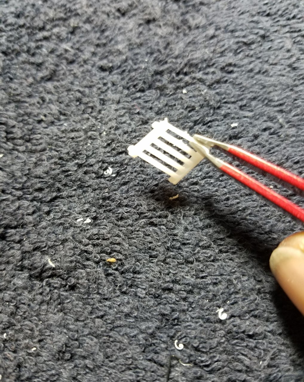 20191129_135125.jpg