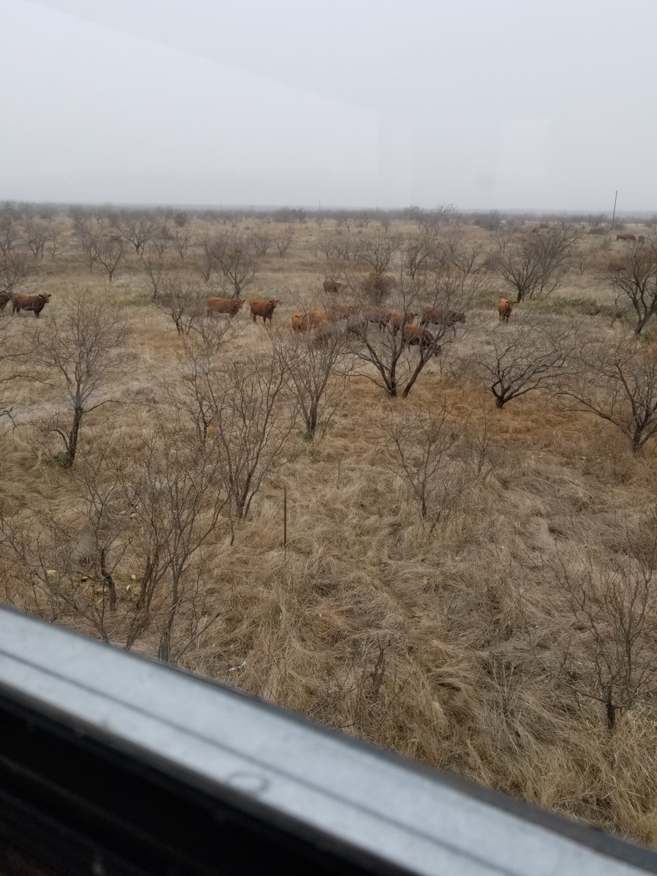 20191129_160818.jpg