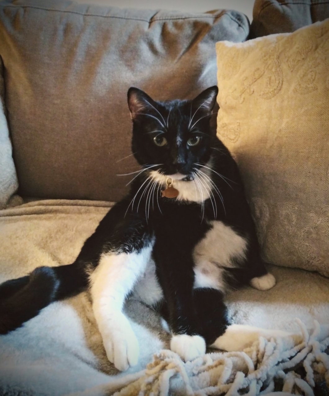 20191129_163322_HDR~2.jpg
