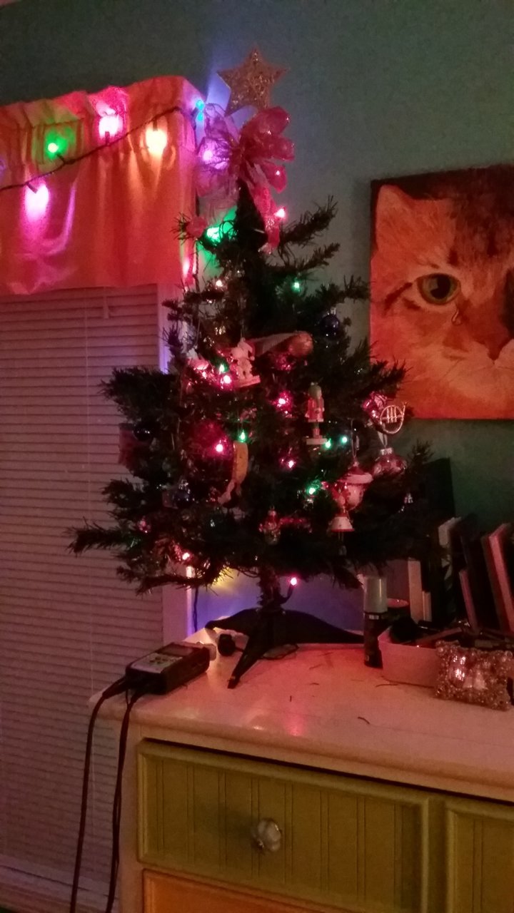 20191129_194438.jpg