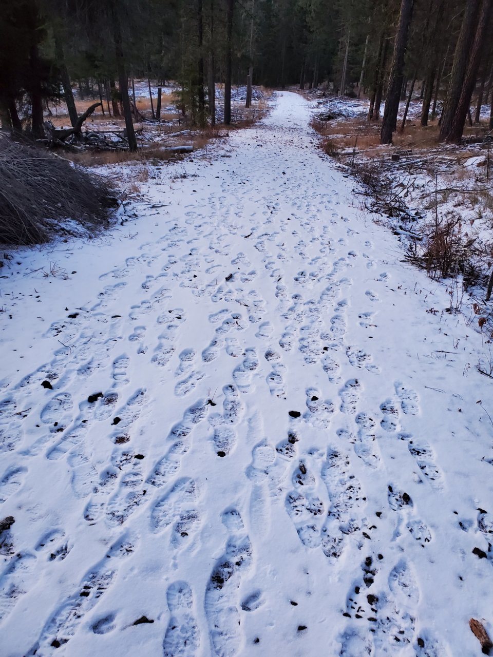 20191130_071936.jpg