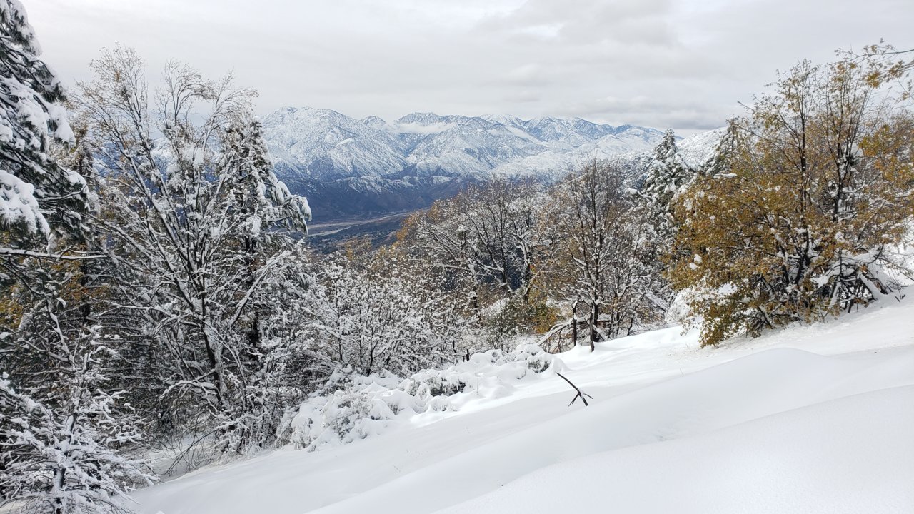 20191130_133201.jpg