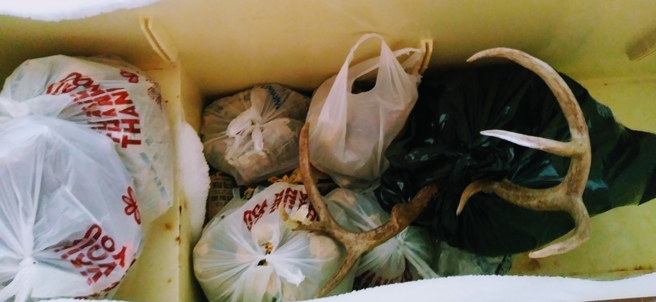 20191201_145130~2.jpg