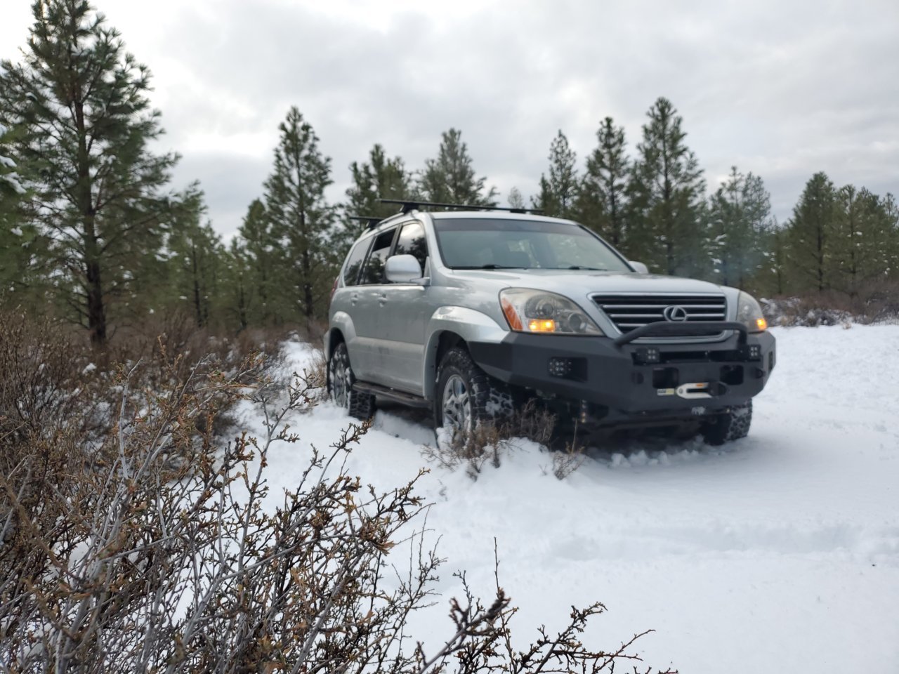 20191201_152116.jpg
