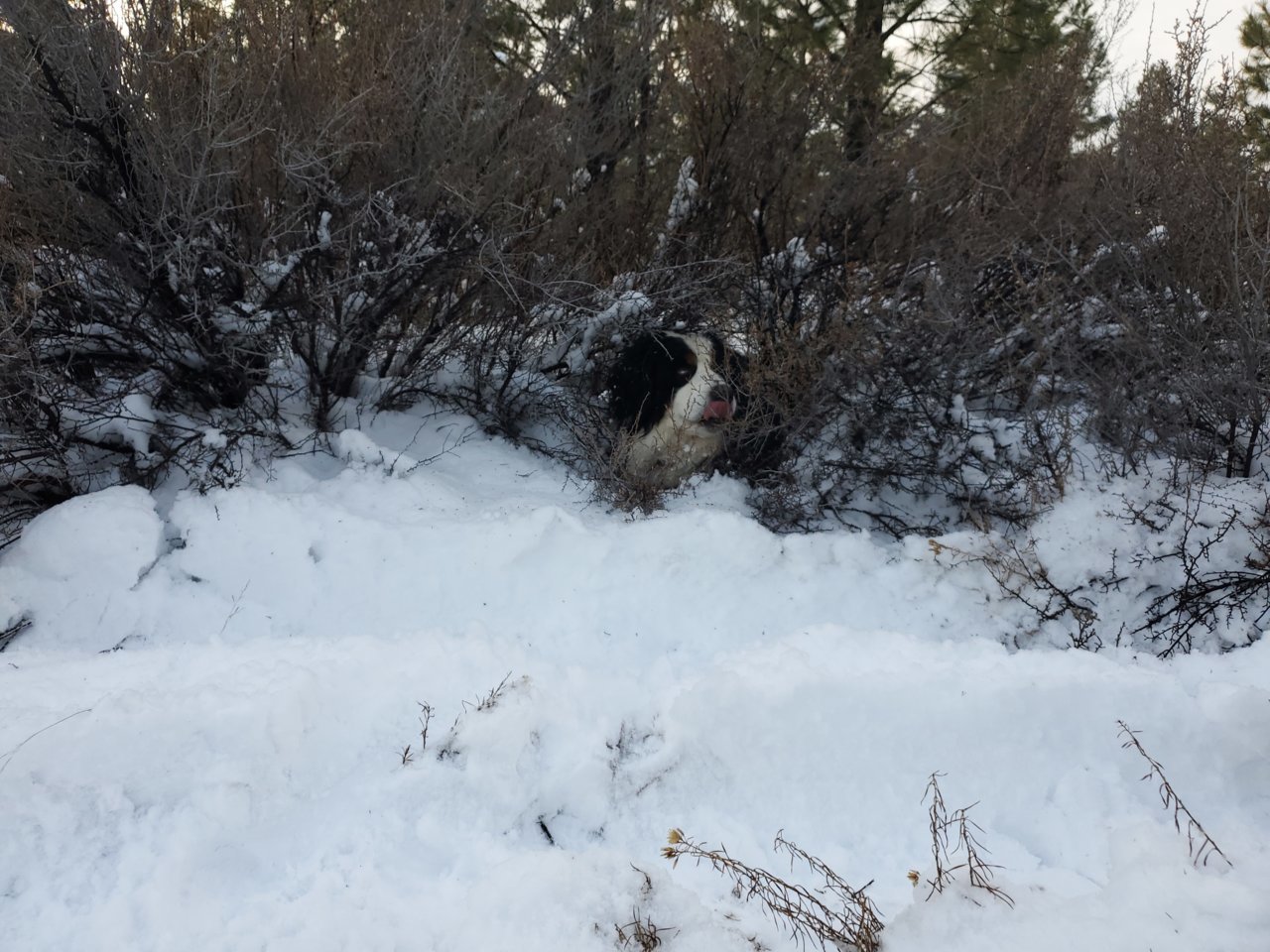 20191201_153652.jpg
