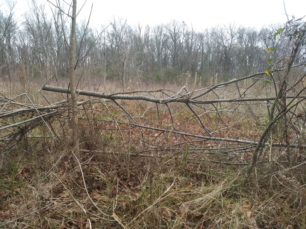 20191202_120512.jpg