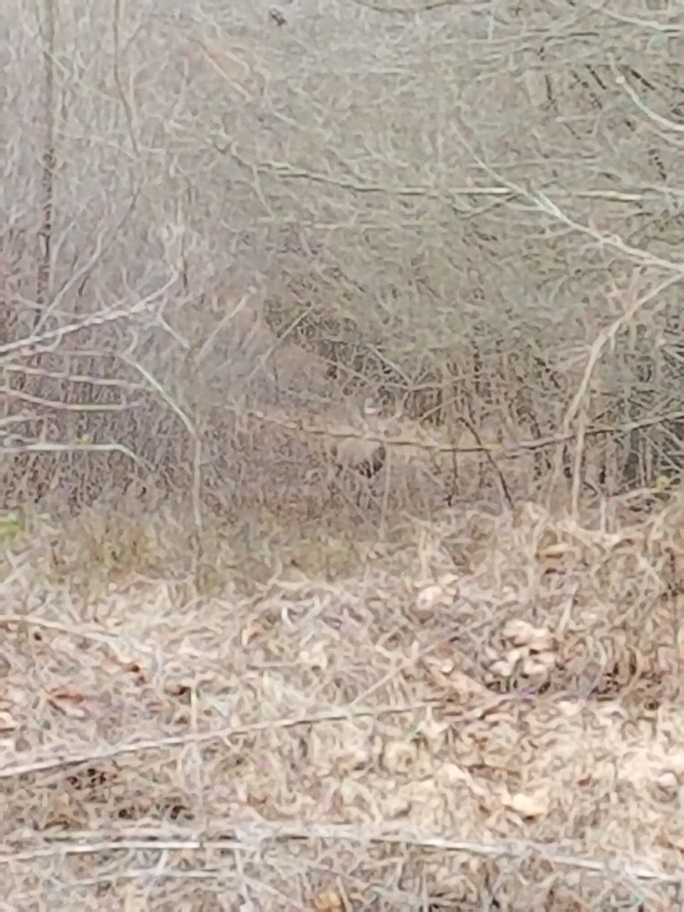 20191202_131651.jpg