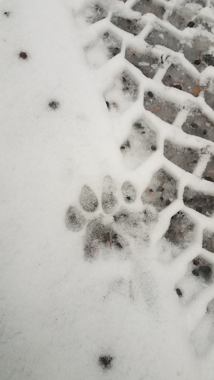 20191202_160142.jpg
