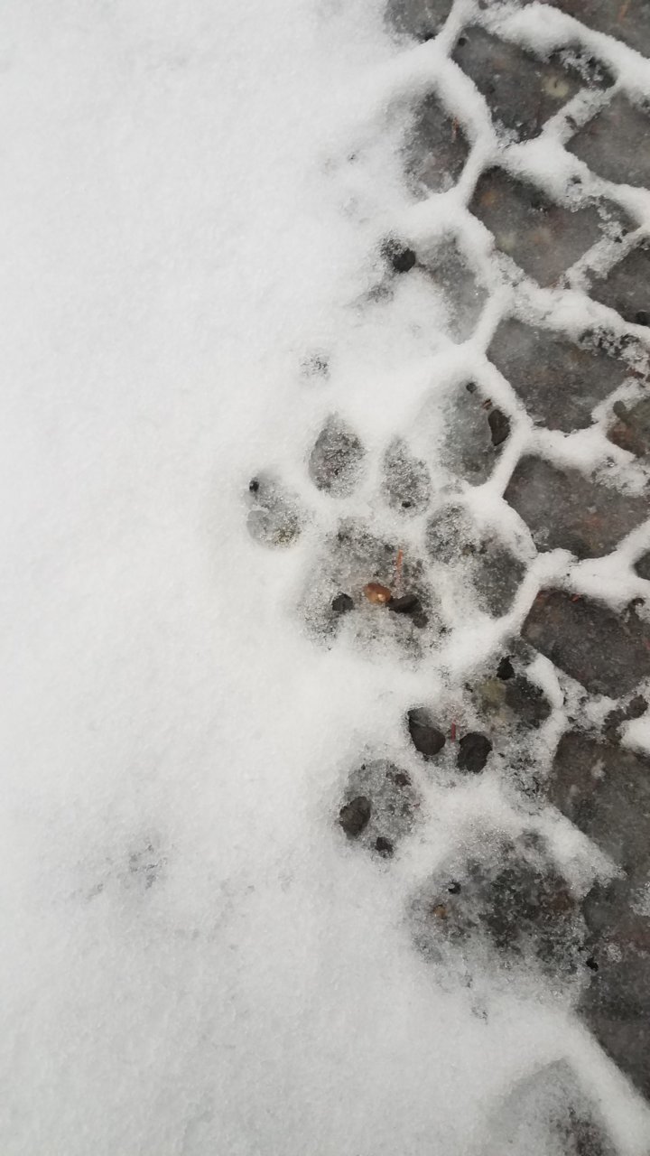 20191202_160340.jpg