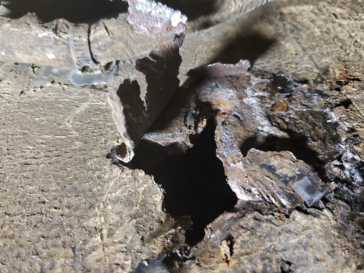 20191202_182607.jpg