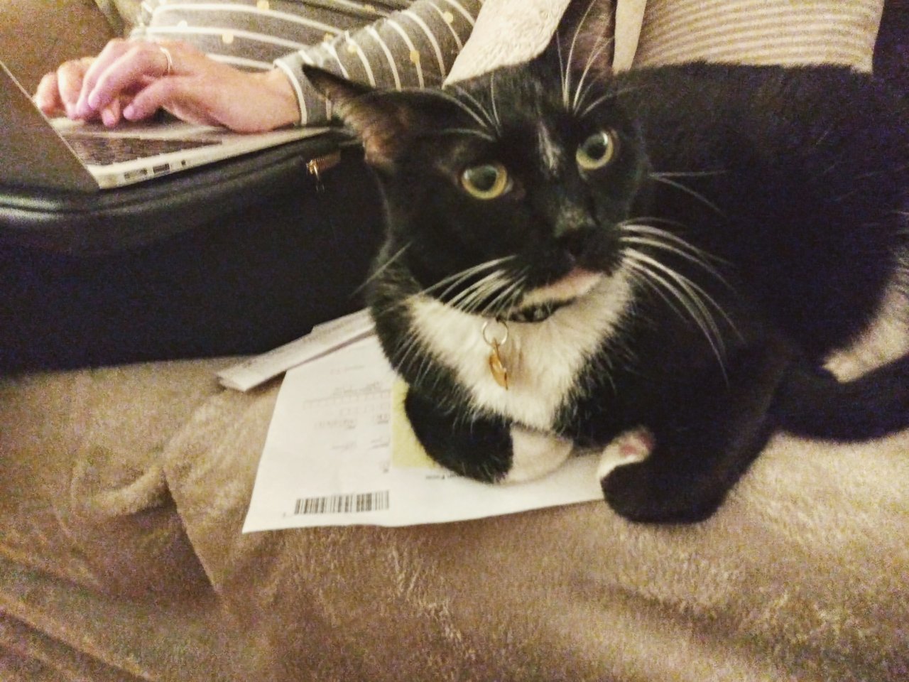 20191202_192434_HDR~2.jpg