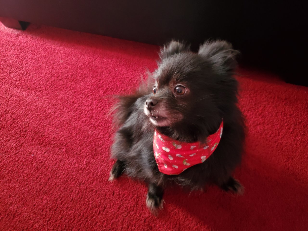 20191204_100729.jpg