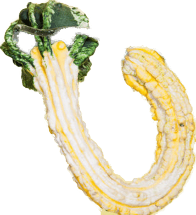 20191204_123928.png