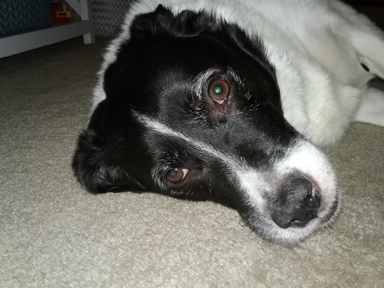 20191204_193706.jpg