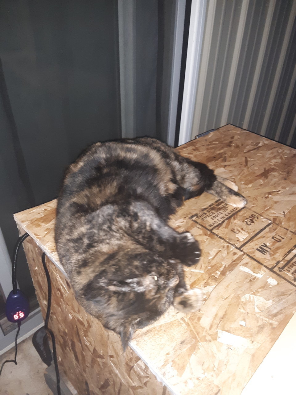 20191205_070018.jpg
